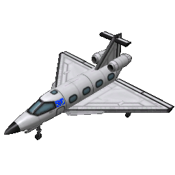 B-bird private jet
