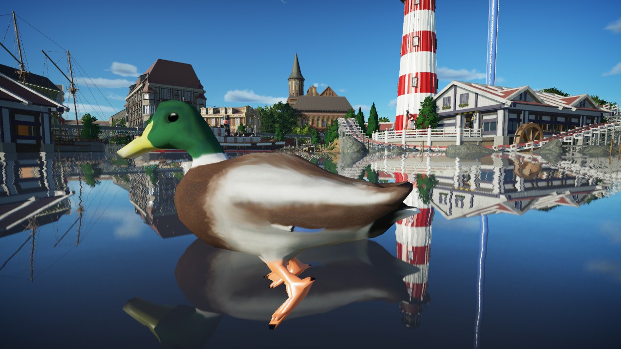 Male Duck (Animated)