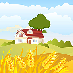 The Country