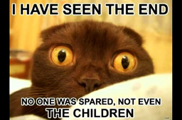 No One Was Spared