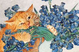 FatCat Art Wooden Frame