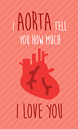 I Aorta Tell You