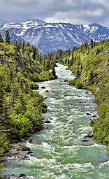 Canada Landscape
