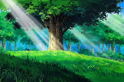Sunrays Thru The Trees WdnFrame