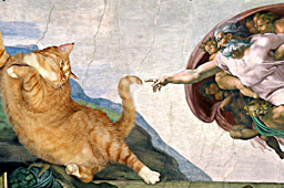 FatCat Art7 Wooden Frame