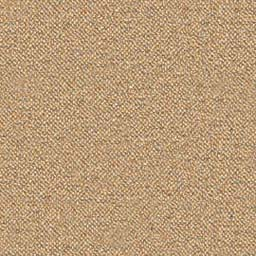 Carpet Pack3