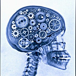 Brain Mechanics