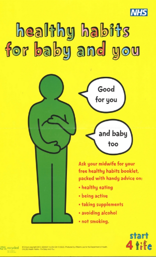 Change4Life Pregnancy Poster preview