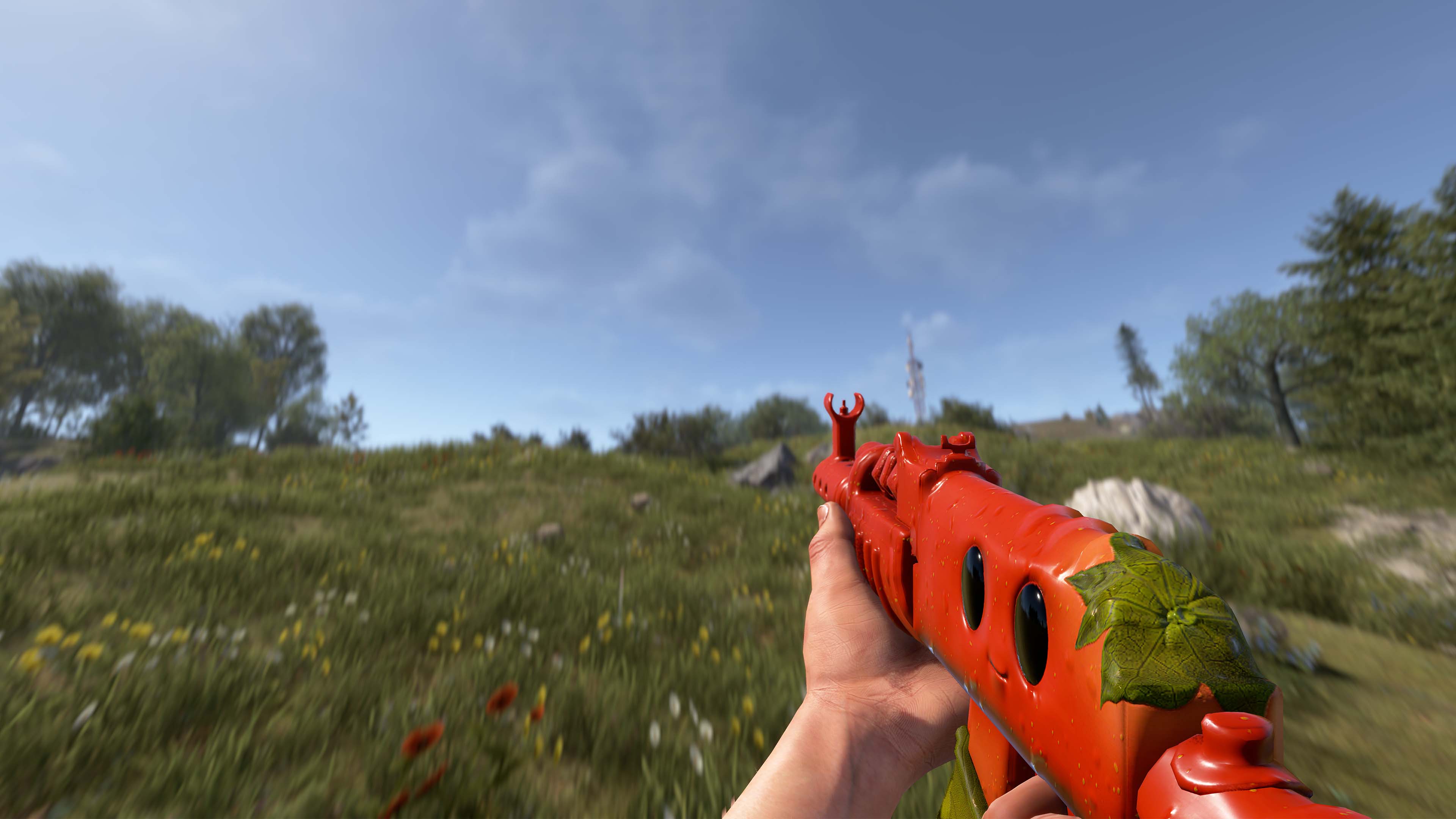 Señor Tomato AR thumbnail 6