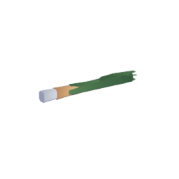 Leek