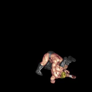 天龍式パワーボム / Powerbomb B (Tenryu Style)