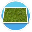Fake Grass