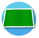 Striped Grass