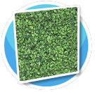 Hedge