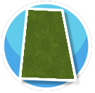 Green P1 Long Rug