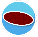 Red Droplet Oval Rug
