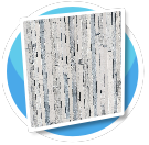 Mur29
