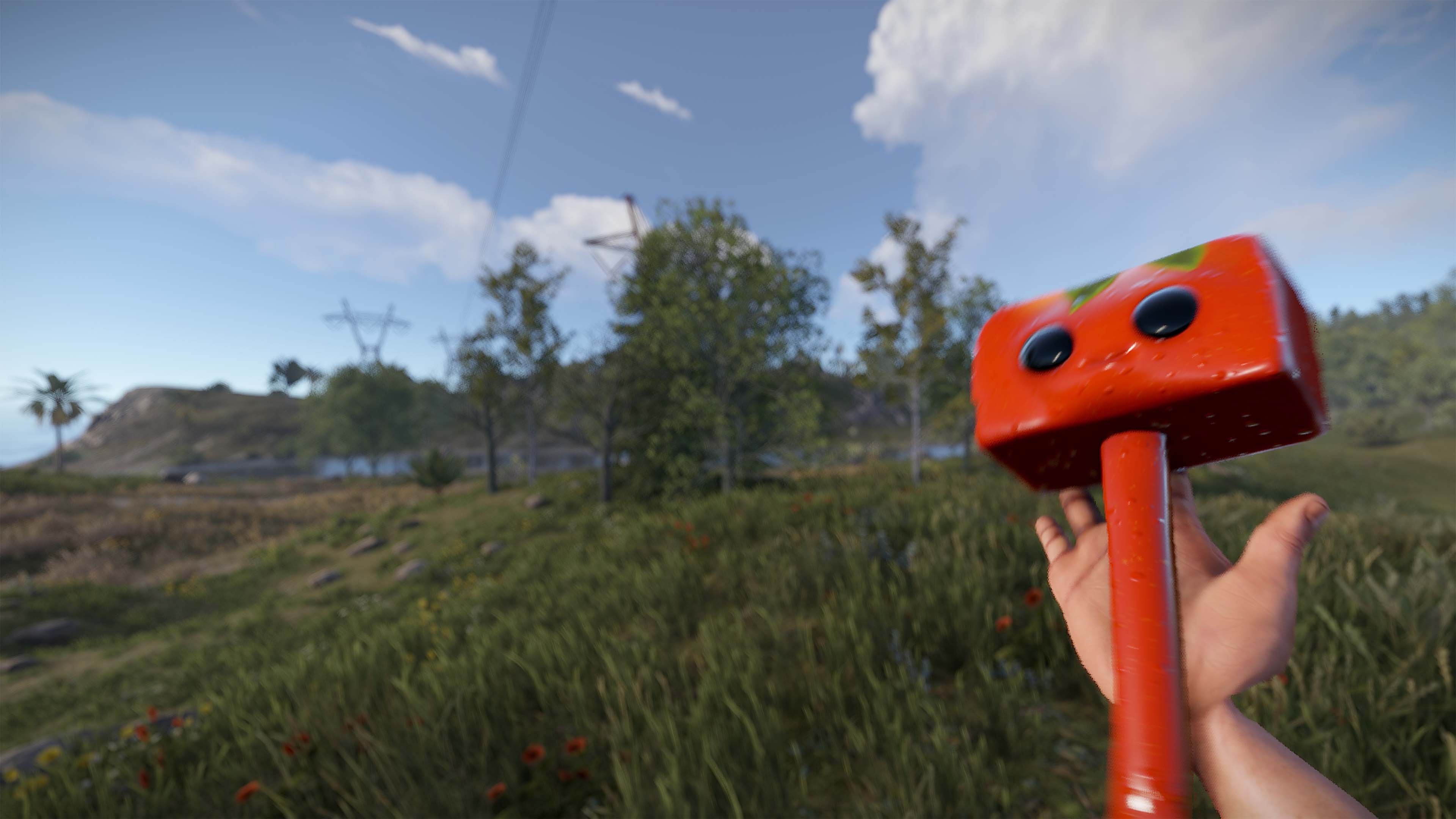 Señor Tomato Hammer