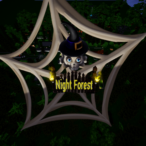 NIGHT FOREST