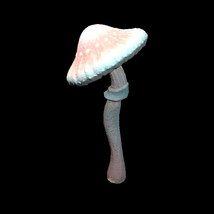 Mushroom_Middle_7_2