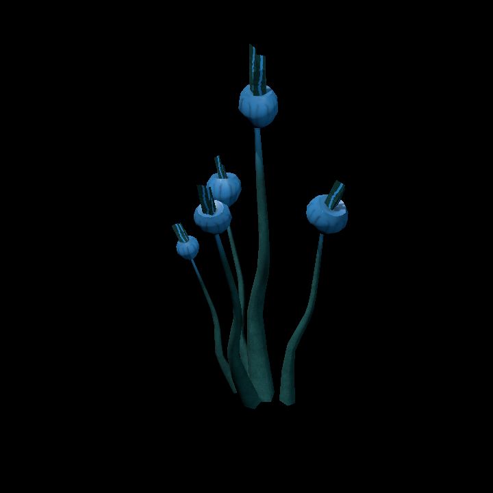 Fey_Plant (15)