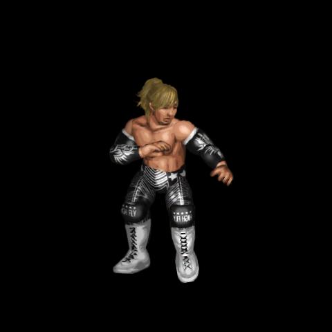 Hiroshi Tanahashi