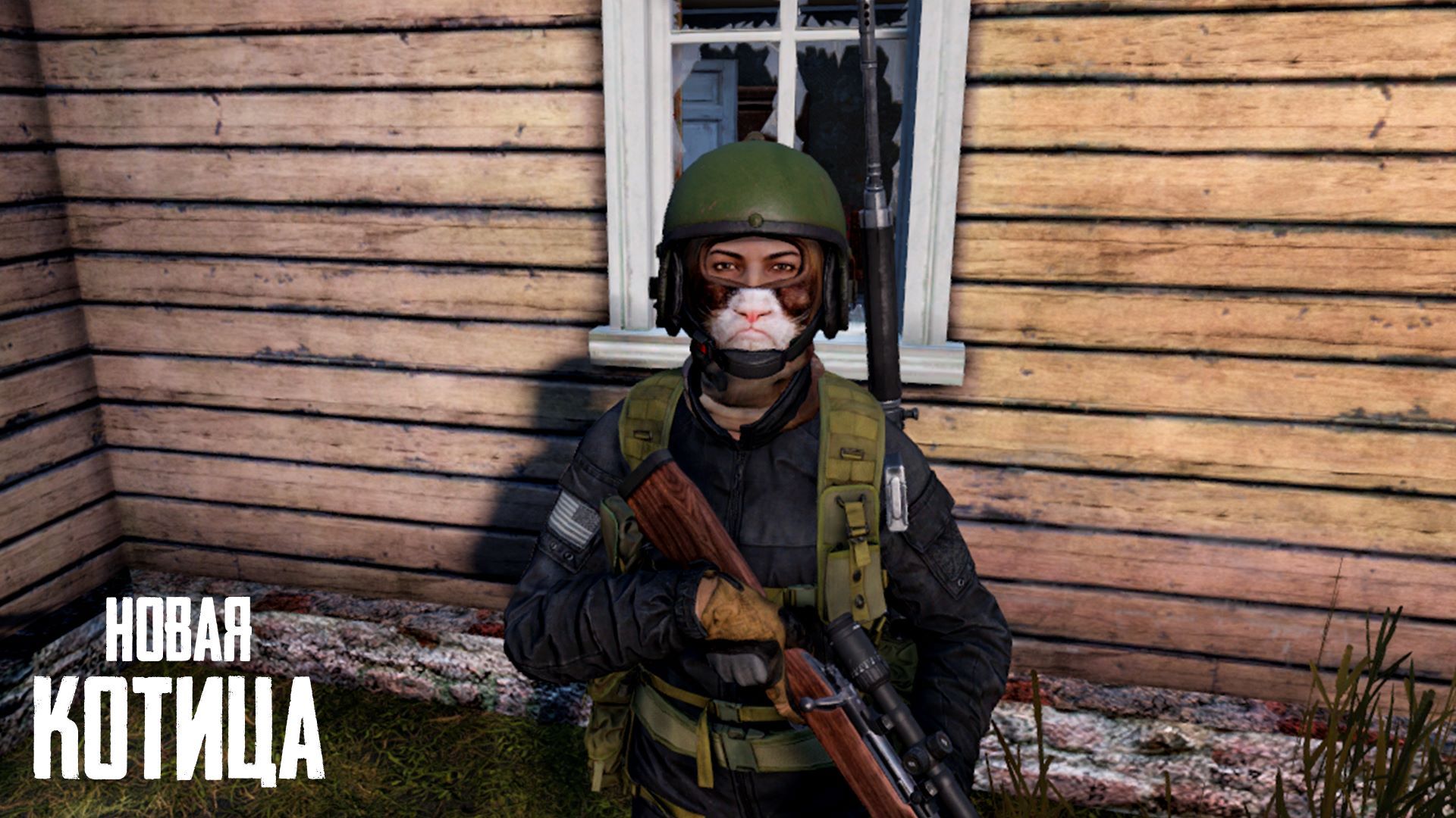 Random Cats Balaclavas