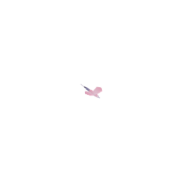 butterfly needle