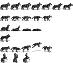wolf
