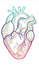 Heart Poster