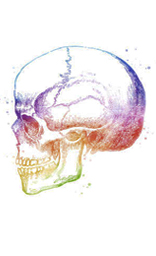 Braincase Poster