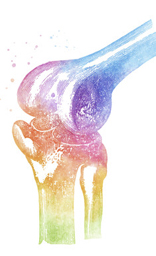 Knee cap Poster