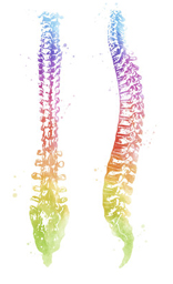 Spine Poster