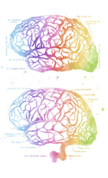 Brain plane Poster