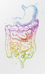 Intestines Poster