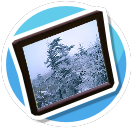 Amazing Winter