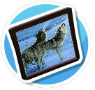 Snow Wolves 2
