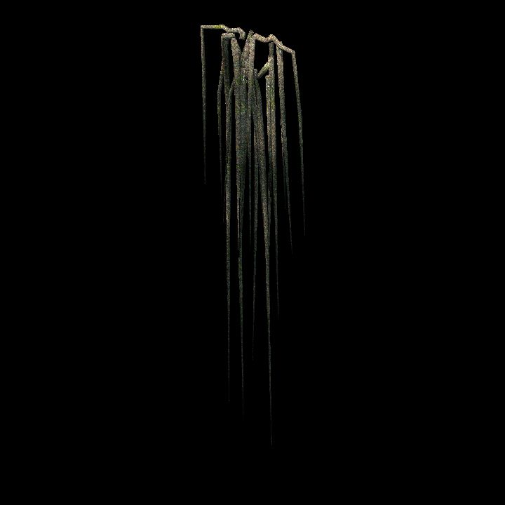 Root_Vines_03