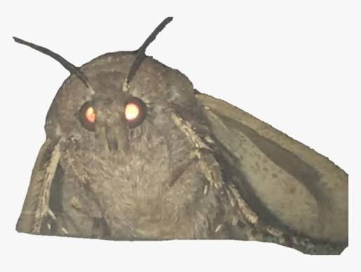 Pastel Insectoid Moth  Reskin preview
