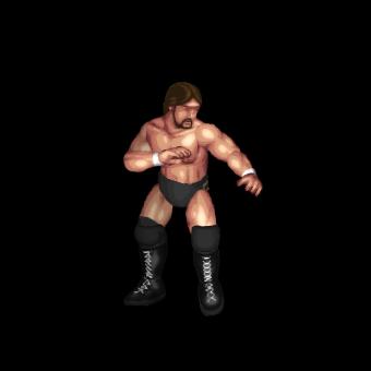 Ted DiBiase
