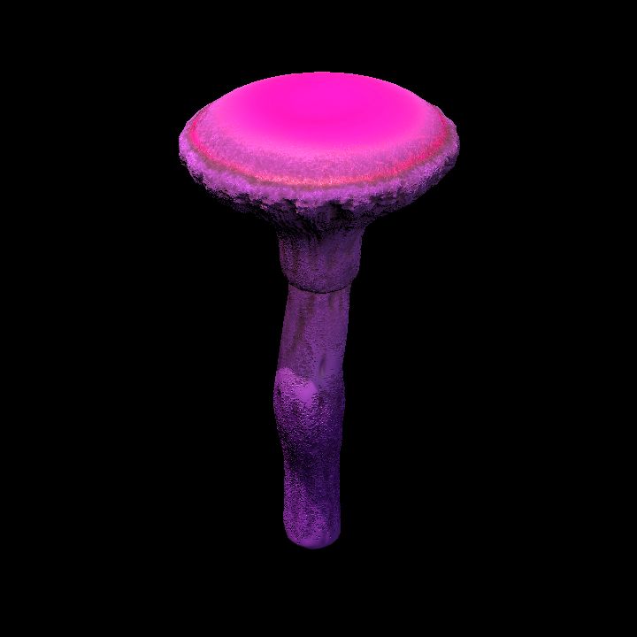 Mushroom_Middle_3_3