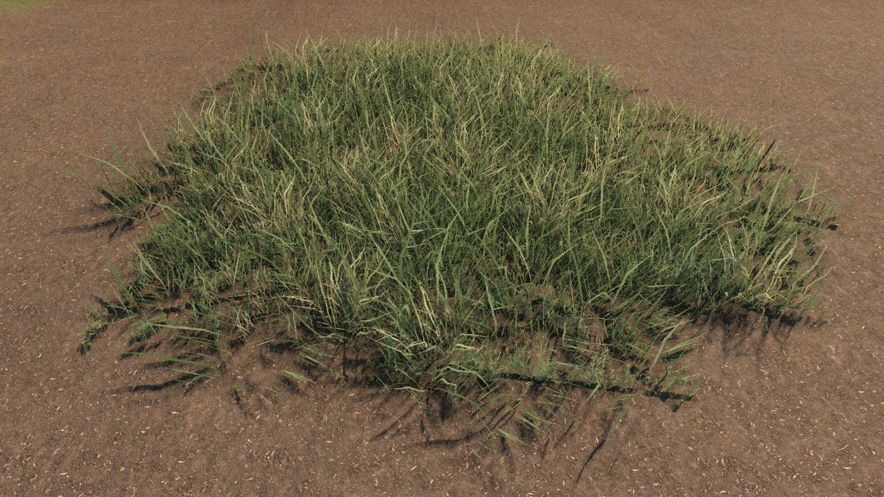 Field Grass Bundle