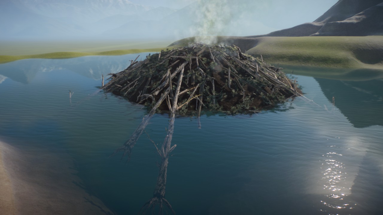 Beaver lodge
