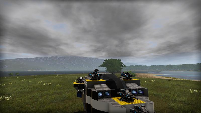 Assault
