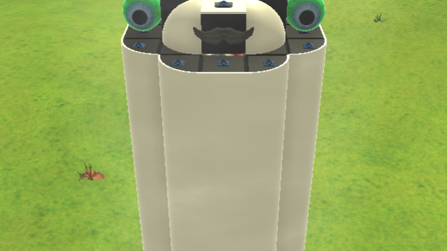 Tank cat