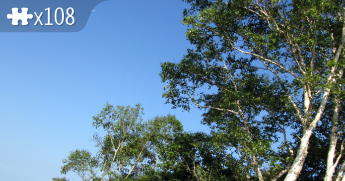 Summer Sky