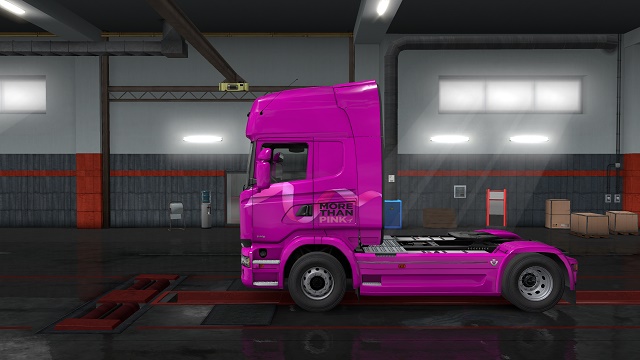 Erich Nikki Cancer Scania S