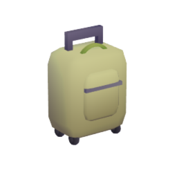 luggage bag