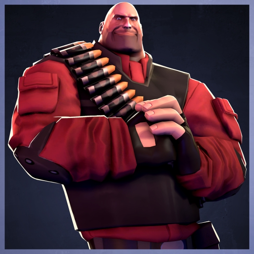 Security Sleeves