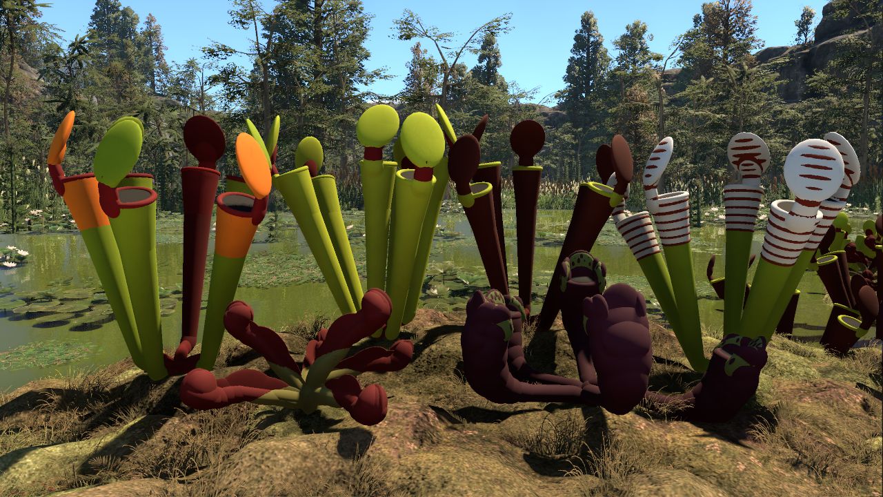 MPP Pitcher Plants (Sarracenia)
